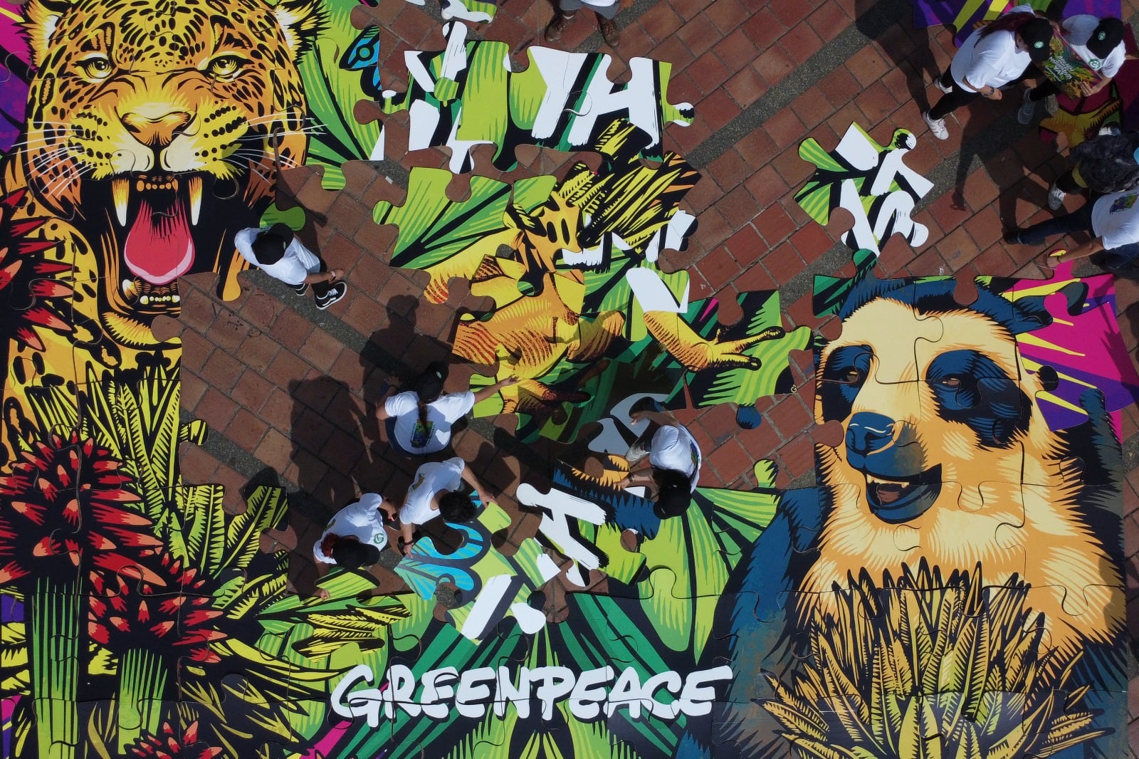 Activistas de Greenpeace arman un rompecabezas gigante en protesta durante la Cumbre COP16 en Cali, destacando la conexión entre el cambio climático y la biodiversidad.