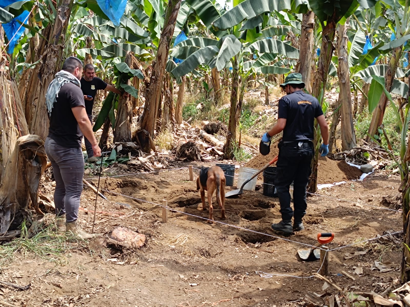 Enterrada en una bananera fue como hallaron los restos de Juliana Diermissen Noel, de 39 años, quien fue vista por última vez en noviembre del 2023. Foto: OIJ