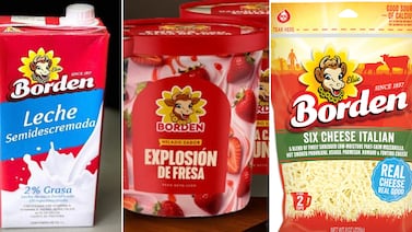 Borden en Costa Rica: ¿de dónde vienen ahora sus leches, quesos y helados?
