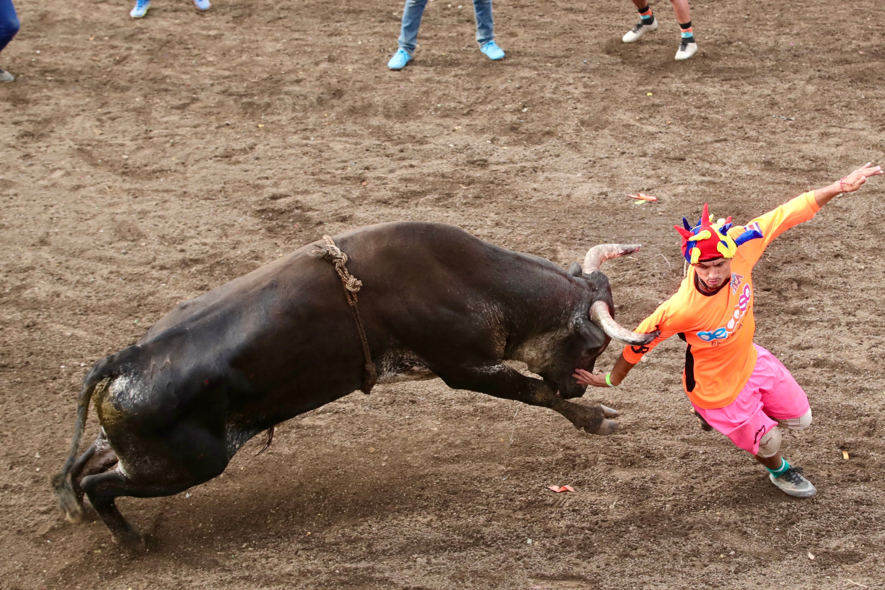 Corrida de toros Pedregal