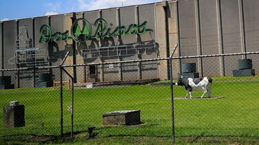 Dos Pinos participará en feria de empleo en Heredia y llega con múltiples vacantes