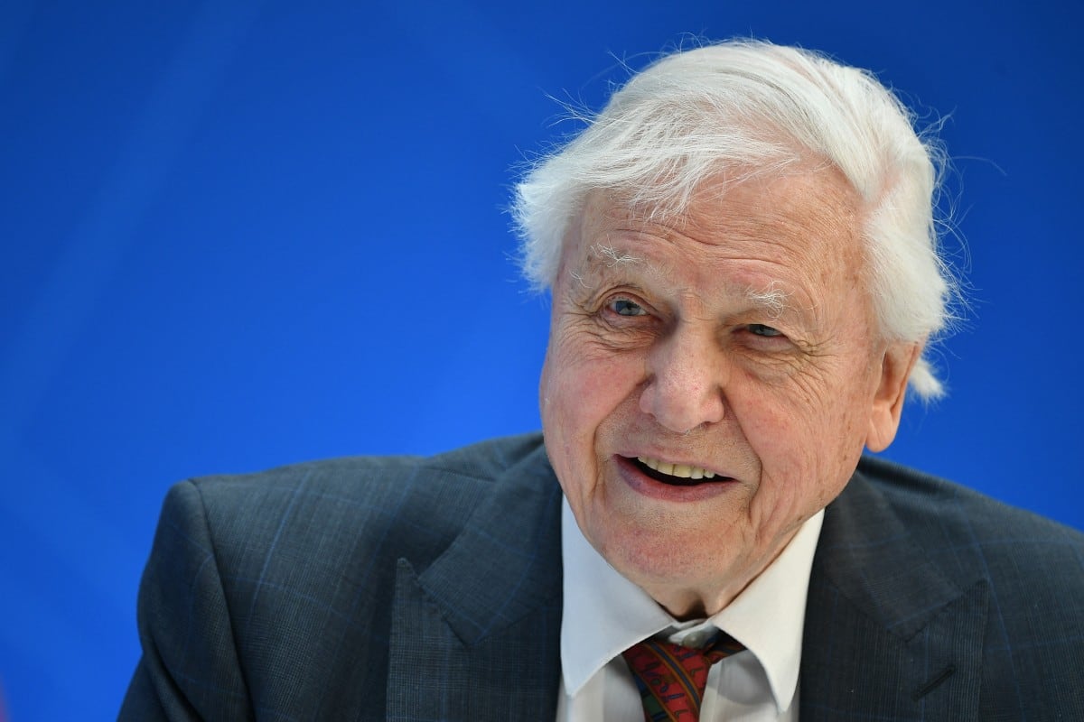 David Attenborough celebra 100 años.