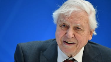David Attenborough, ícono de la defensa de la naturaleza, cumple 100 años