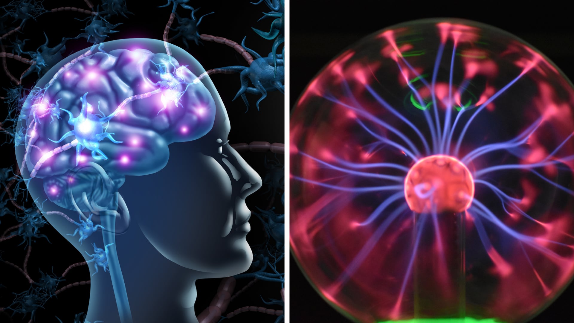 Un estudio científico analiza la relación entre el cerebro humano y las resonancias electromagnéticas de la Tierra para entender la conciencia.
