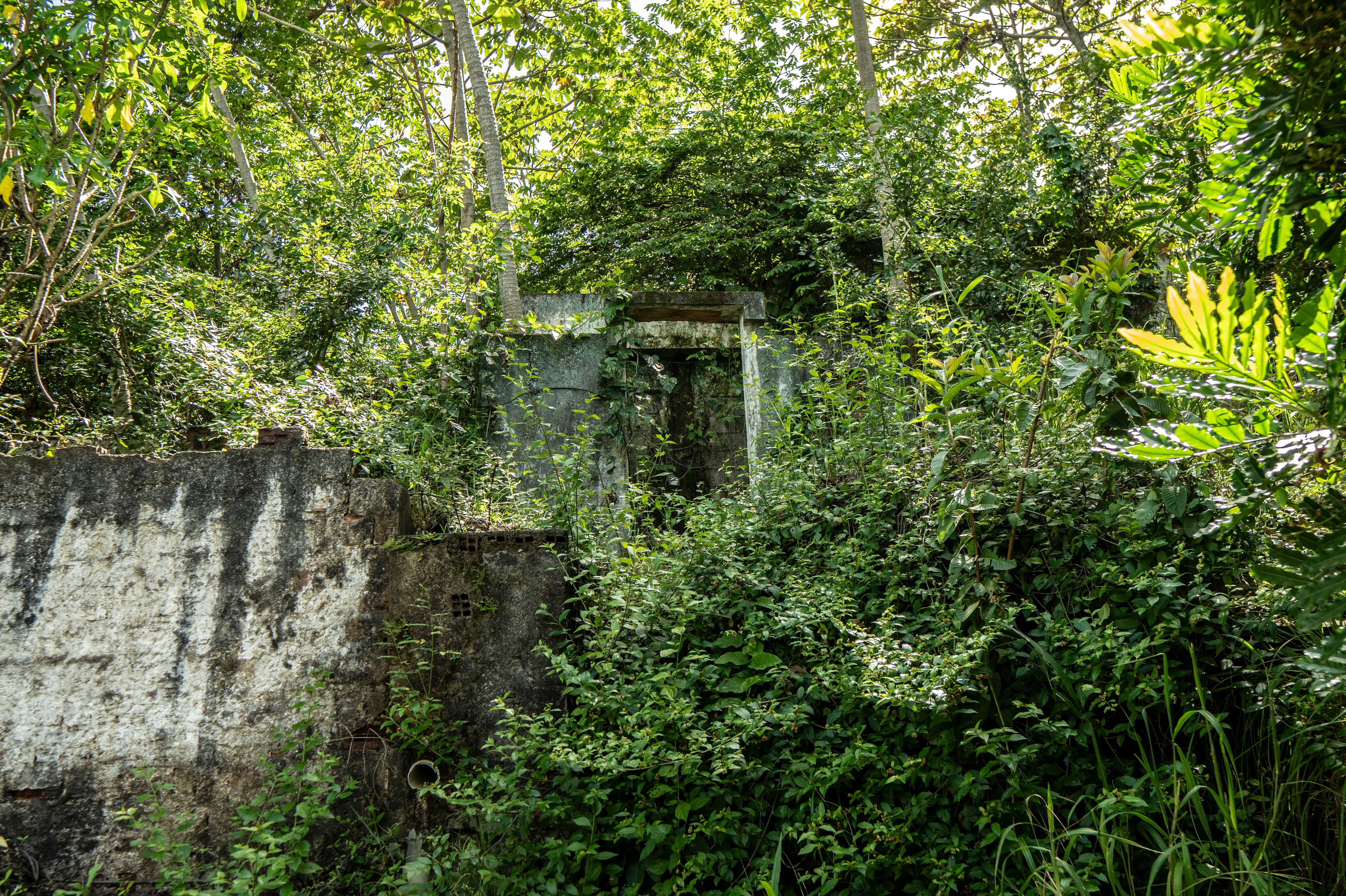La naturaleza abunda en Maceió pese al daño.