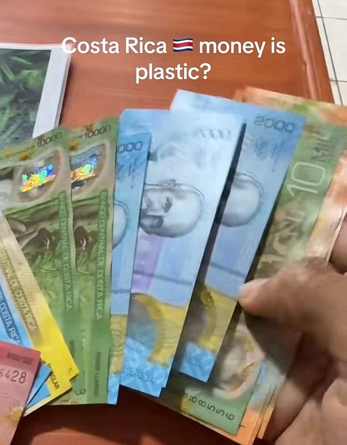 Turista estadounidense