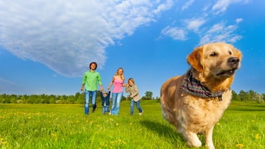 Los que son más familia que la familia