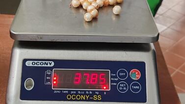 Creatividad criminal: Así descubrieron droga escondida en chuletas en La Reforma