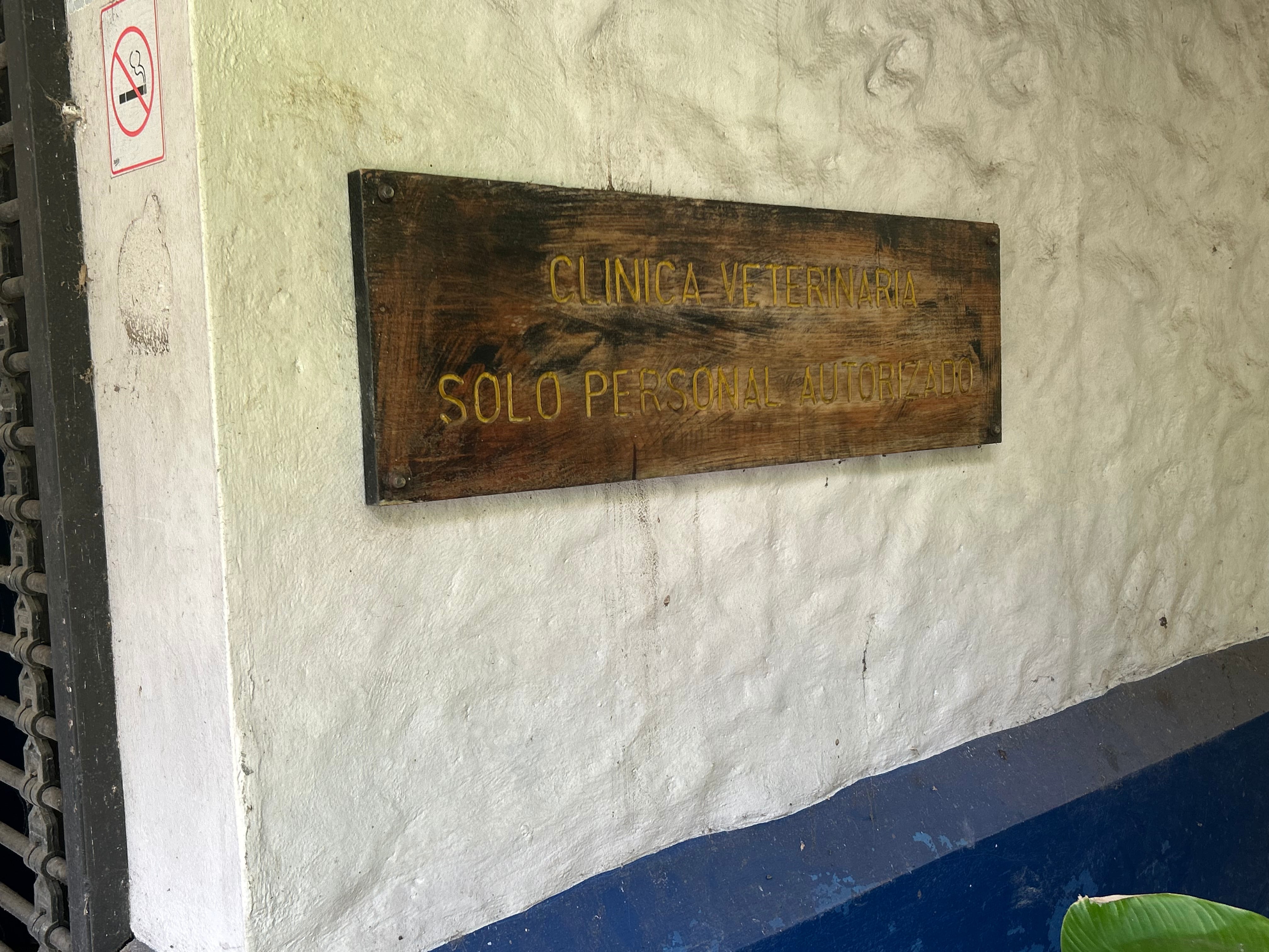 Simón Bolívar EXCLUSIVO VIVA