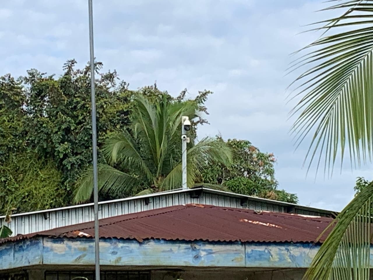 Sujetos escapan tras allanamientos en Limón