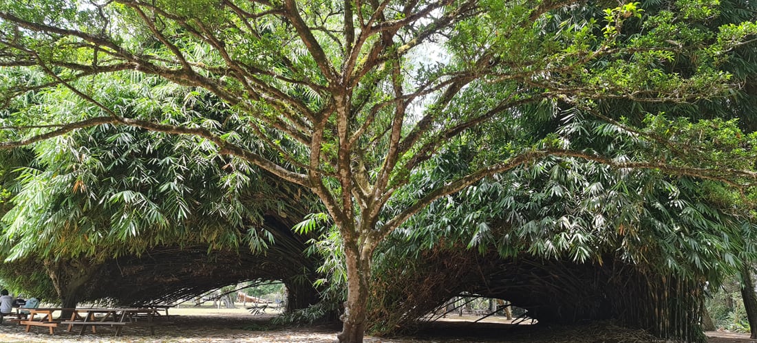 Montes de OCA parques