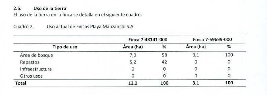 Allan Pacheco Dent, tala ilegal