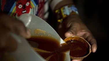 Ministerio de Salud comete fallos que permiten a resort de Tamarindo usar ayahuasca