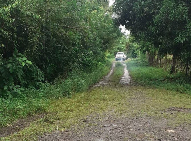 Poco después de ser picado el hombre se desvaneció y cuando la Cruz Roja lo atendía entró en paro y murió. Foto: suministrada por Edgar Chinchilla.