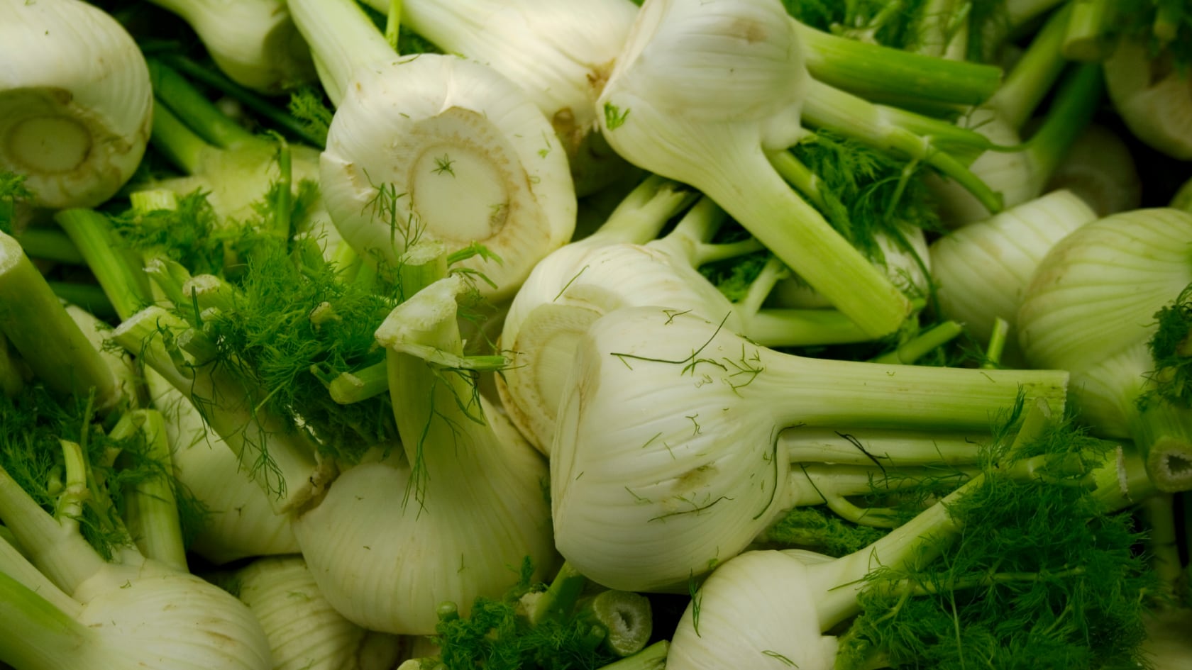 Esta verdura aromática del Mediterráneo destaca por su efecto digestivo y su capacidad para reducir la hinchazón abdominal.