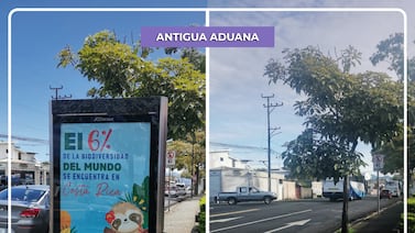 Municipalidad de San José retira publicidad invasora de paradas de bus, aceras y comercios: esto fue lo que encontraron