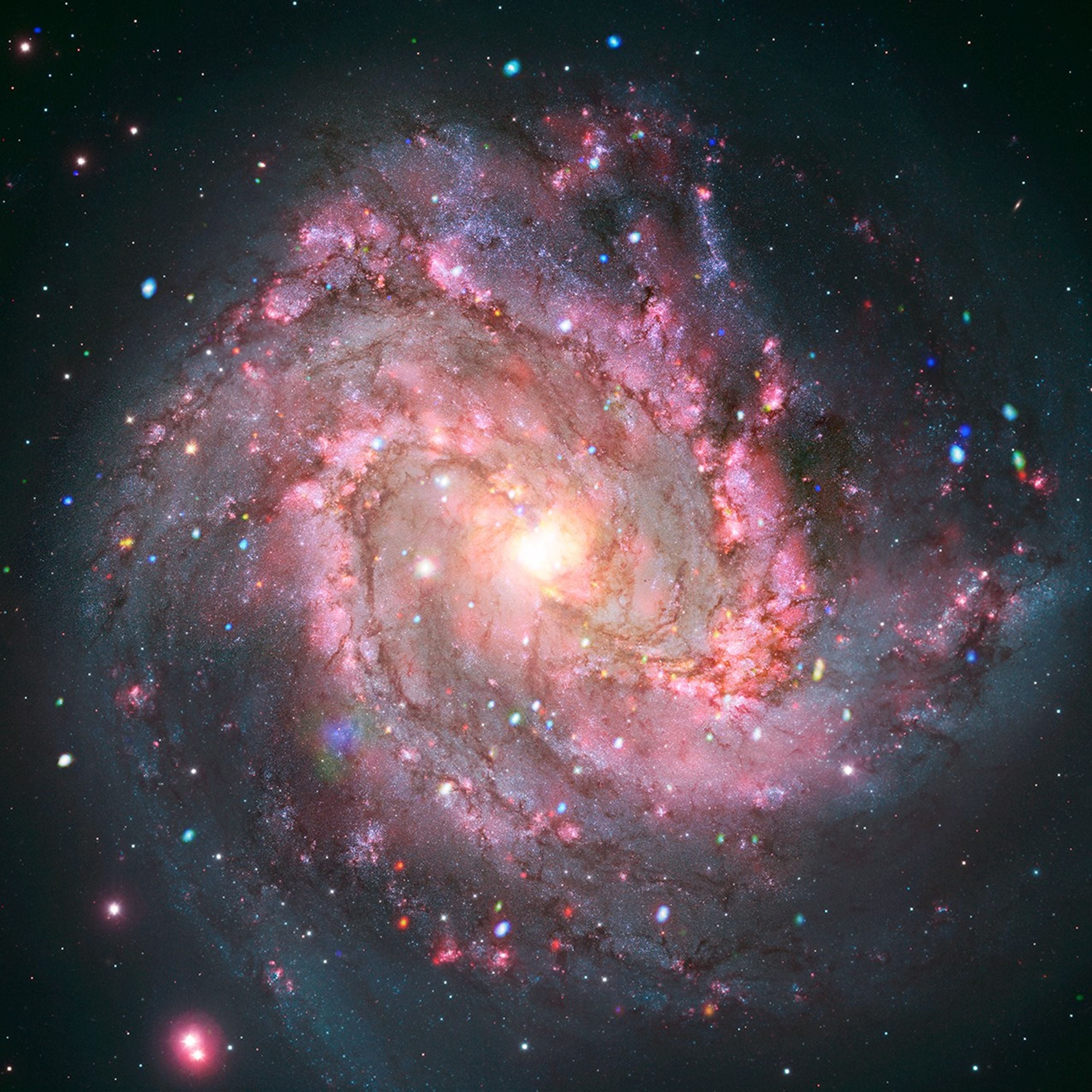 La galaxia M83 en rayos X y luz óptica.