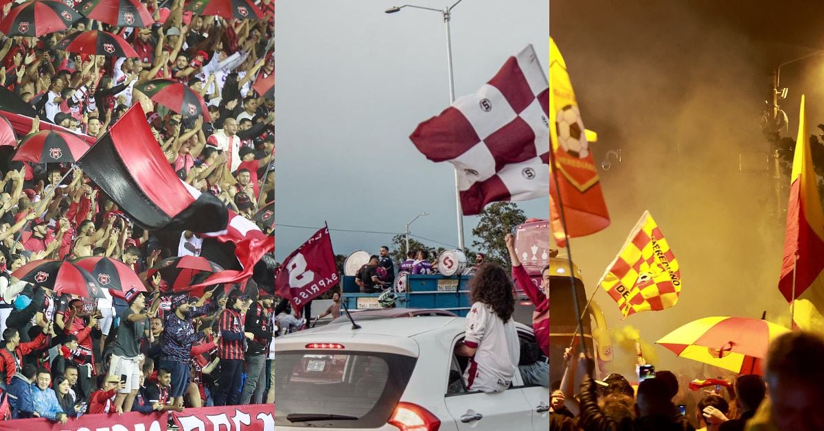 Estudio de la UCR revela cuál es el equipo de Primera División con más aficionados.