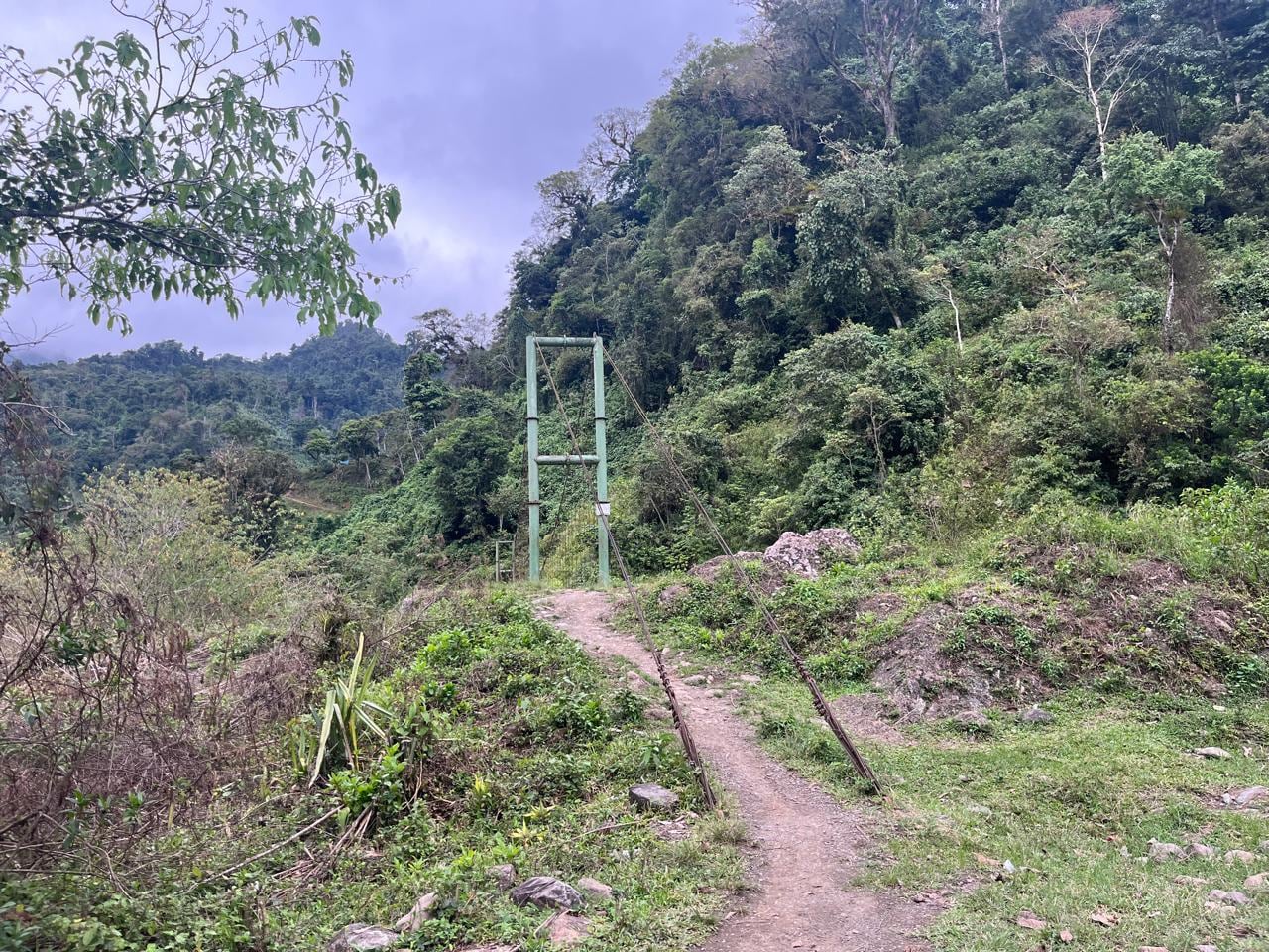 Rescatistas caminaron durante aproximadamente 12 horas en terreno montañoso de Chirripó para evacuar a dos menores hacia un centro médico.