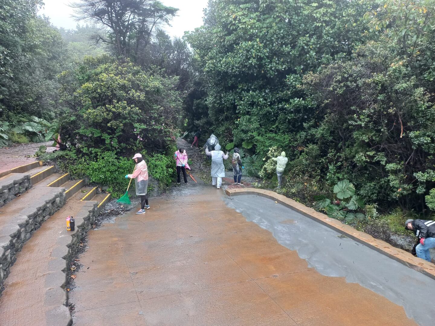 El Minae anunció la reapertura del Parque Nacional Volcán Poás, ante la disminución de la actividad del coloso.