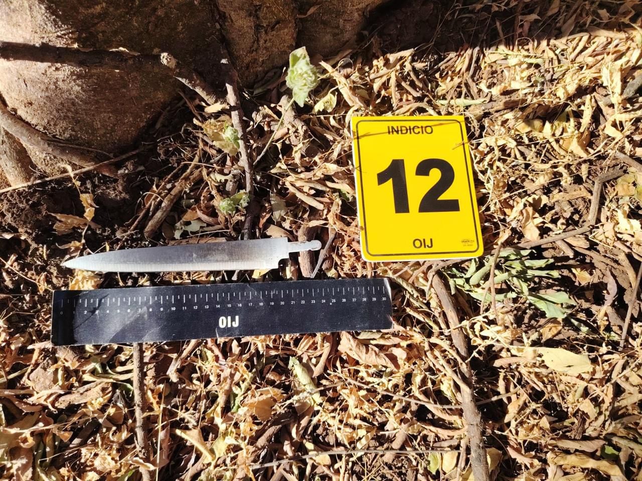 Agentes del OIJ recopilaron indicios dentro de la vivienda allanada en Santa Cruz, entre ellos una hoja de metal, además de prendas y otros objetos que serán analizados como parte de la investigación por homicidio.