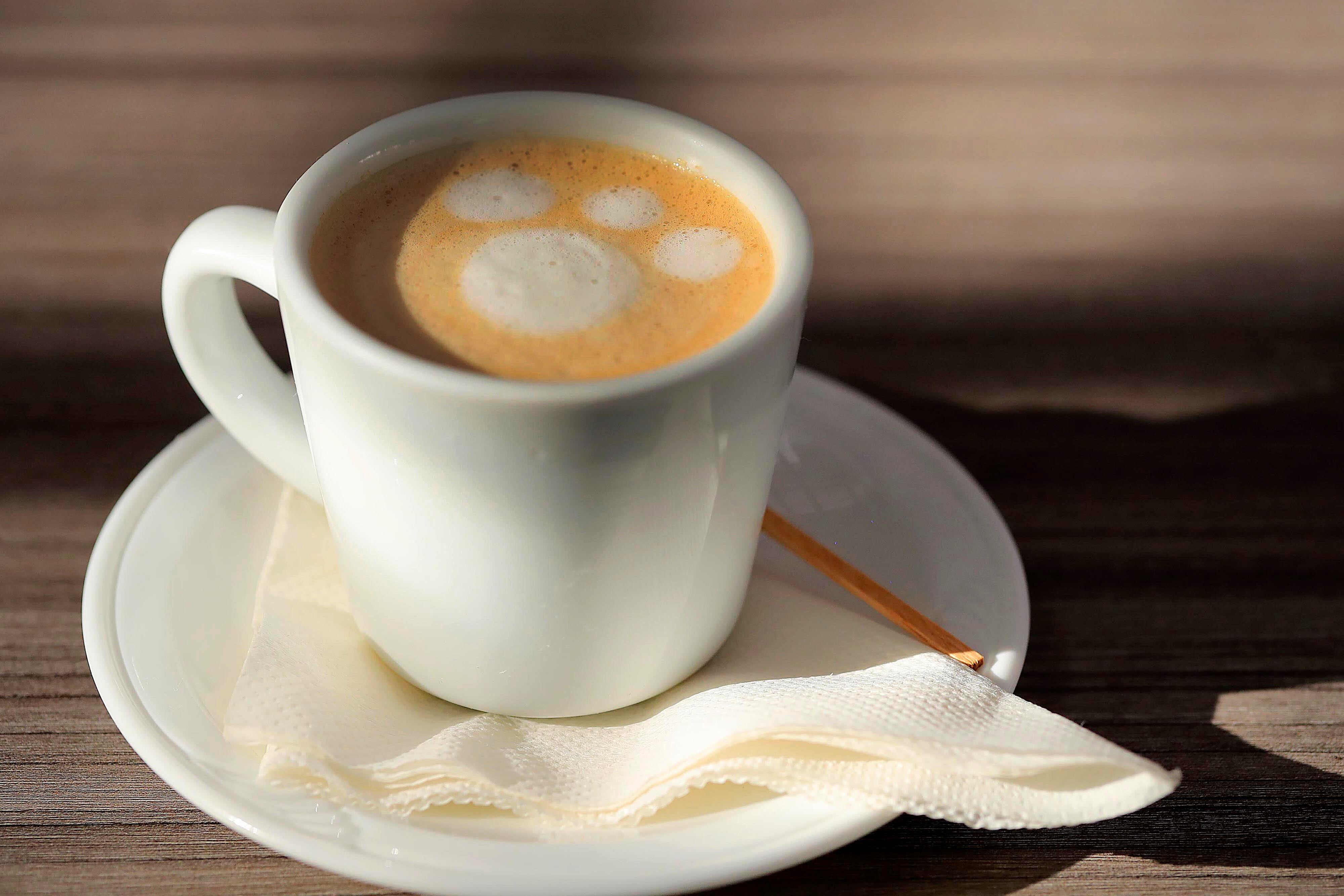 05/02/2024 San Pedro De Montes de Oca. Heeler House Café, el espacio perfecto para disfrutar de una deliciosa comida mientras los pequeños juegan y se divierten. Aquí se puede disfrutar desde croissants arreglados hasta crepas, saladas y dulces o libres de gluten, además de las deliciosas bebidas calientes como capuchinos con sabor, o frías como los frappuccinos Winnie.