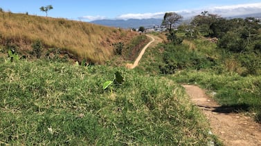 Adulto mayor fallece al caer a río en Alajuelita