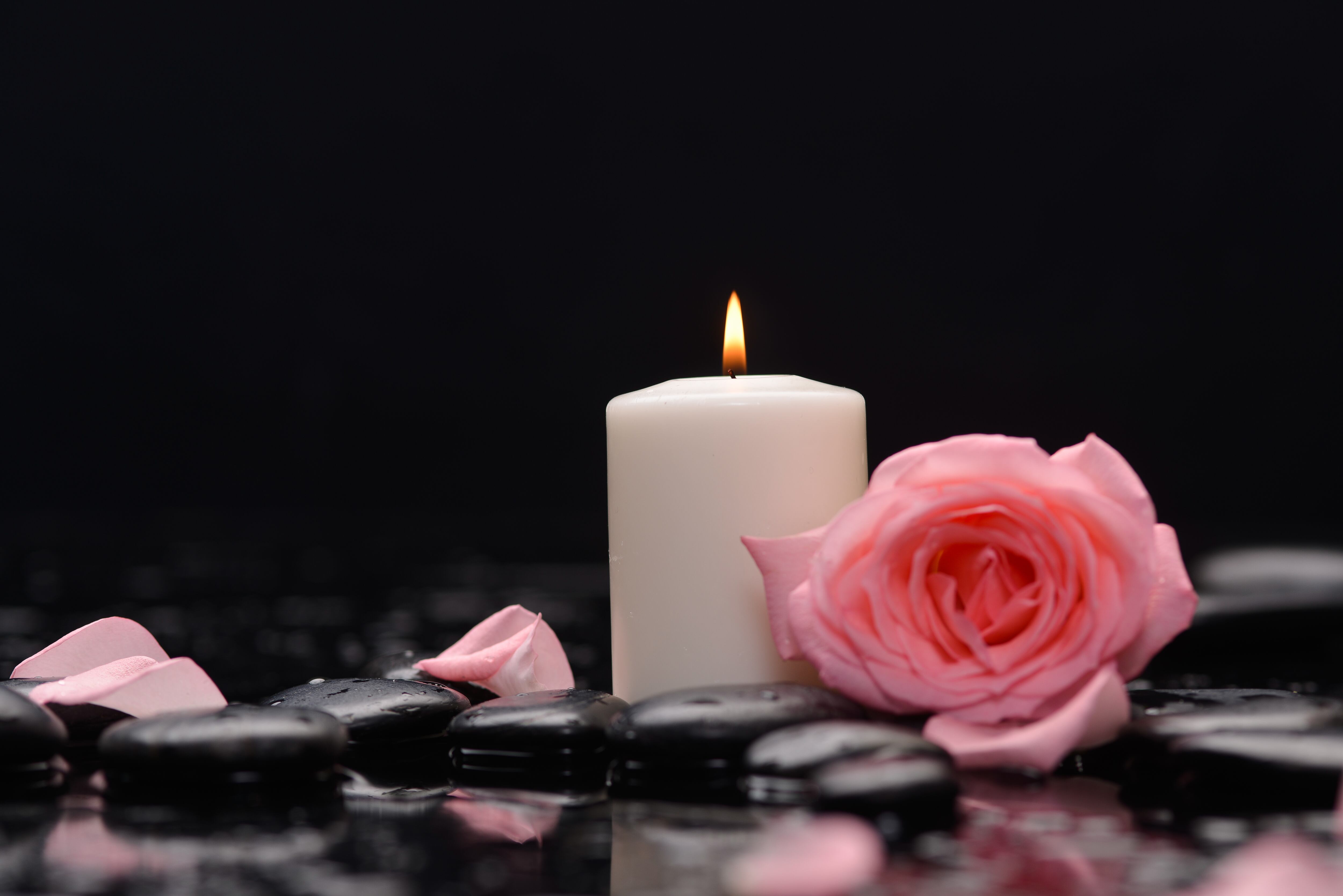 duelo, muerte, vela, rosas, pétalos