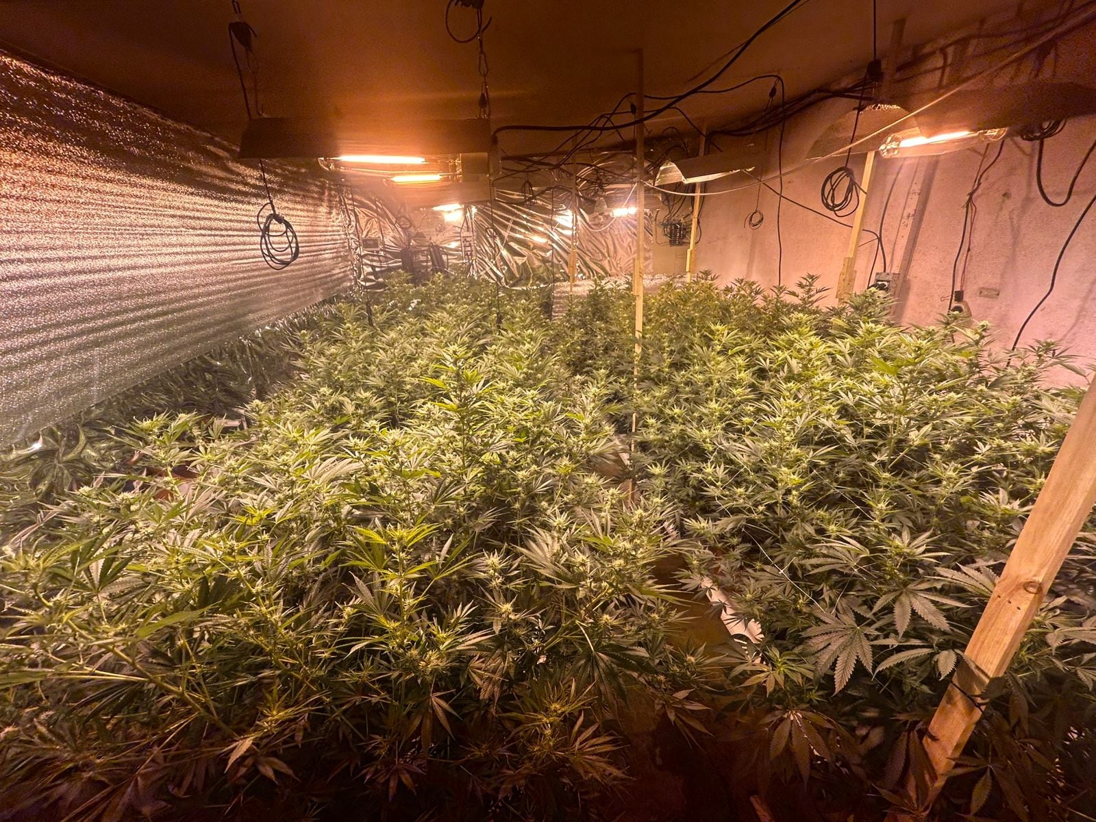 Detenidos y decomisos tras allanamientos en San Ramón por homicidios de dos finqueros.