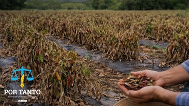 Agricultor percibió un olor a pesticida en su finca, vio a sus matas de chile morir y terminó ganando una indemnización en la Corte