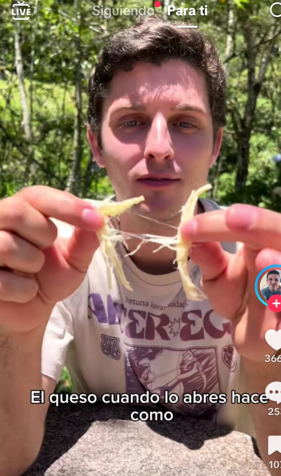 Influencer queso palmito