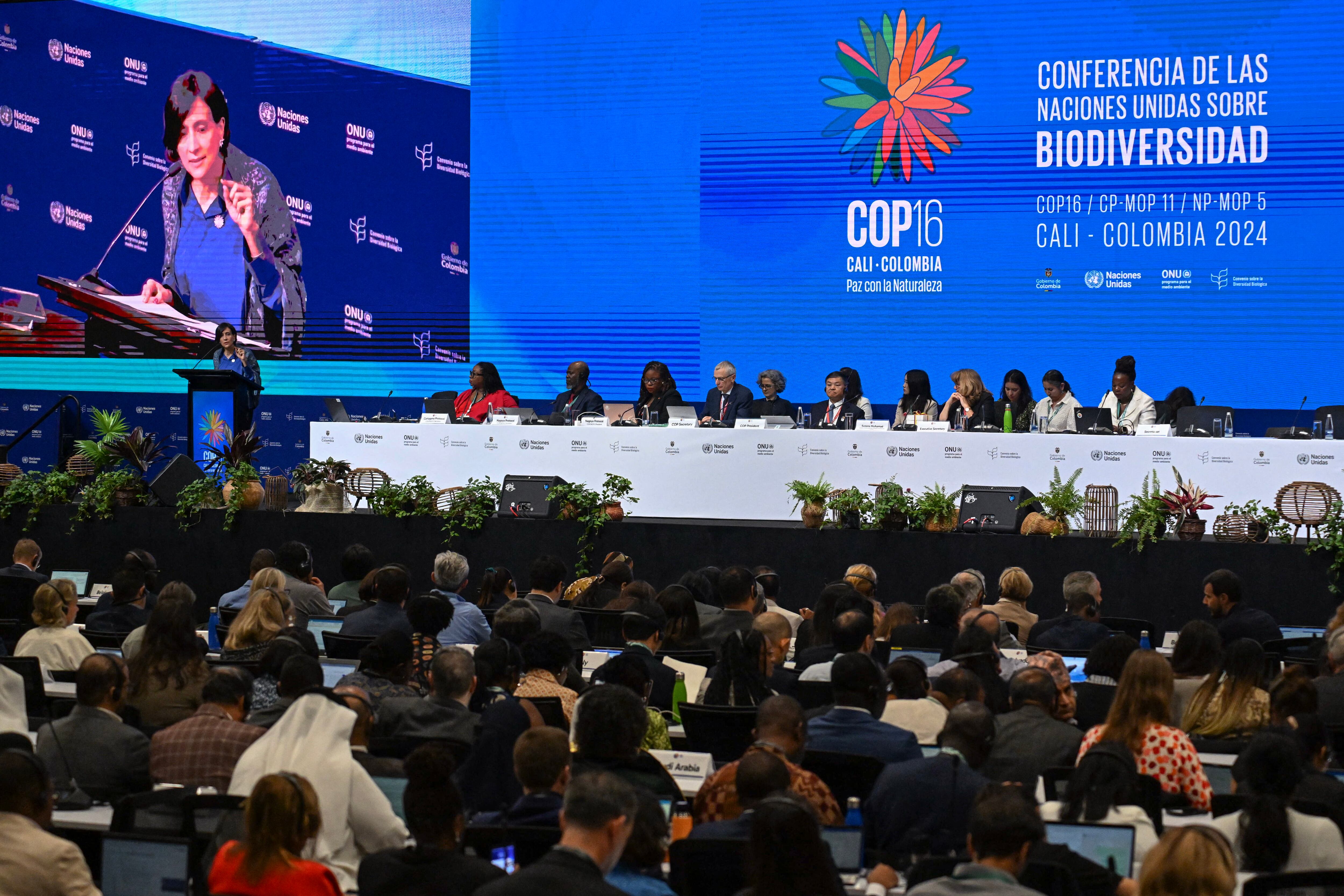 La ministra de Medio Ambiente de Colombia y presidenta de la COP16, Susana Muhamad (izq.), habla durante la ceremonia de apertura de la cumbre COP16 en Cali, Colombia.