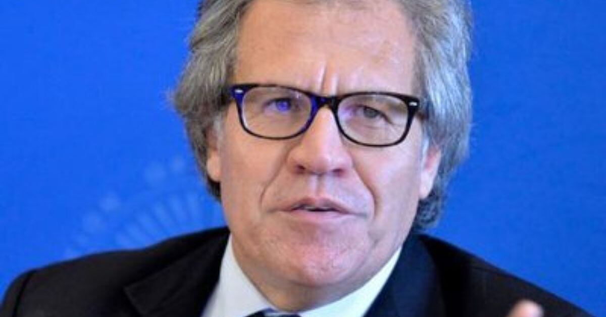 En su cuenta oficial de X, el secretario de la OEA, Luis Almagro, aseguró que presentará cargos ante la Corte Penal Internacional para que impute y emita una orden de arresto contra Nicolás Maduro por el "baño de sangre" que se desató en Venezuela, donde al menos 11 civiles han muerto en protestas por su reelección. (Foto: tomada del perfil oficial de Luis Almagro en X)