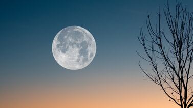¿Cuándo será la Luna llena de febrero 2026? Esta es la fecha exacta