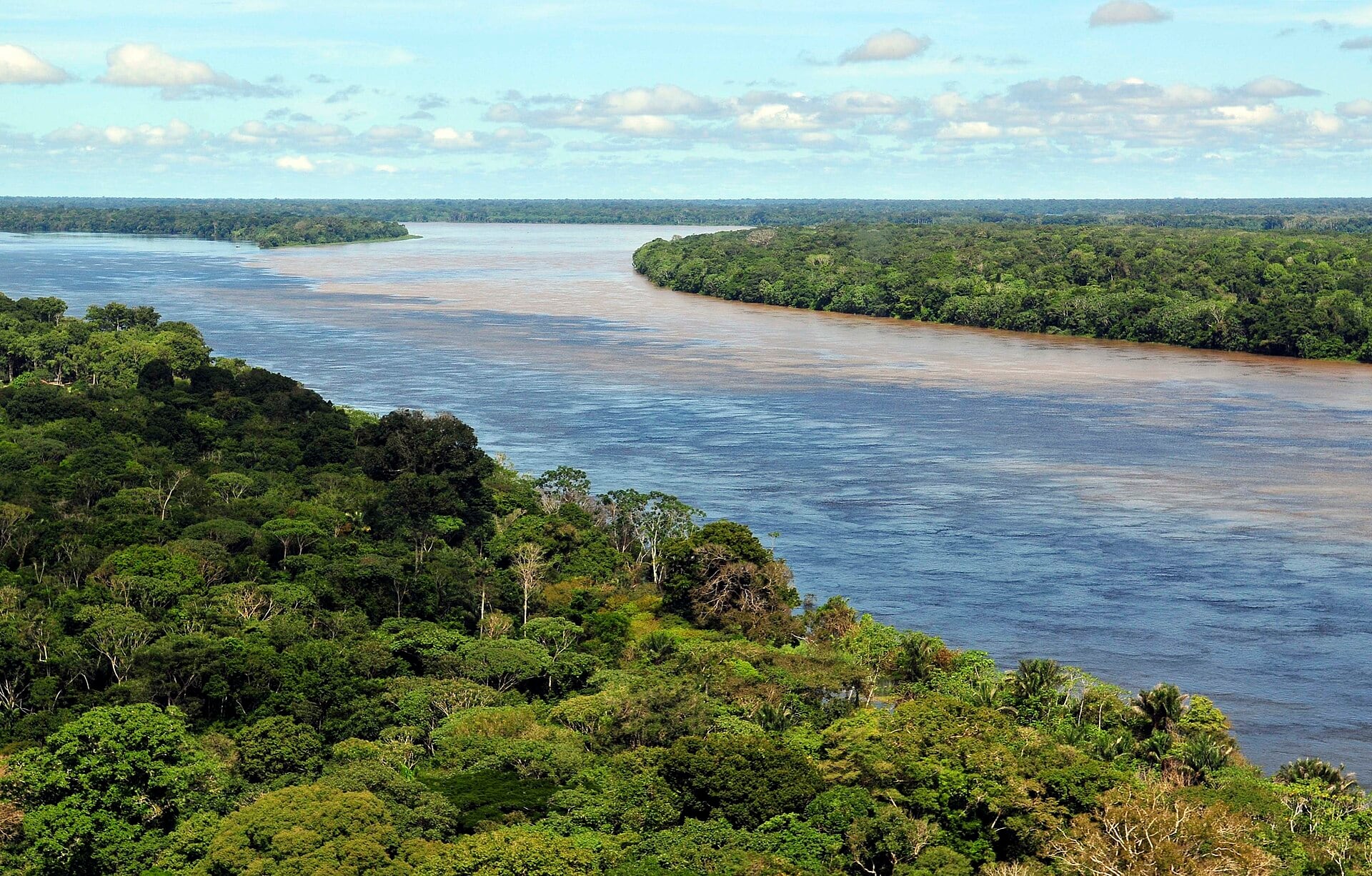 Vista aérea de la selva amazónica, cerca de Manaos, capital del estado brasileño de Amazonas.
