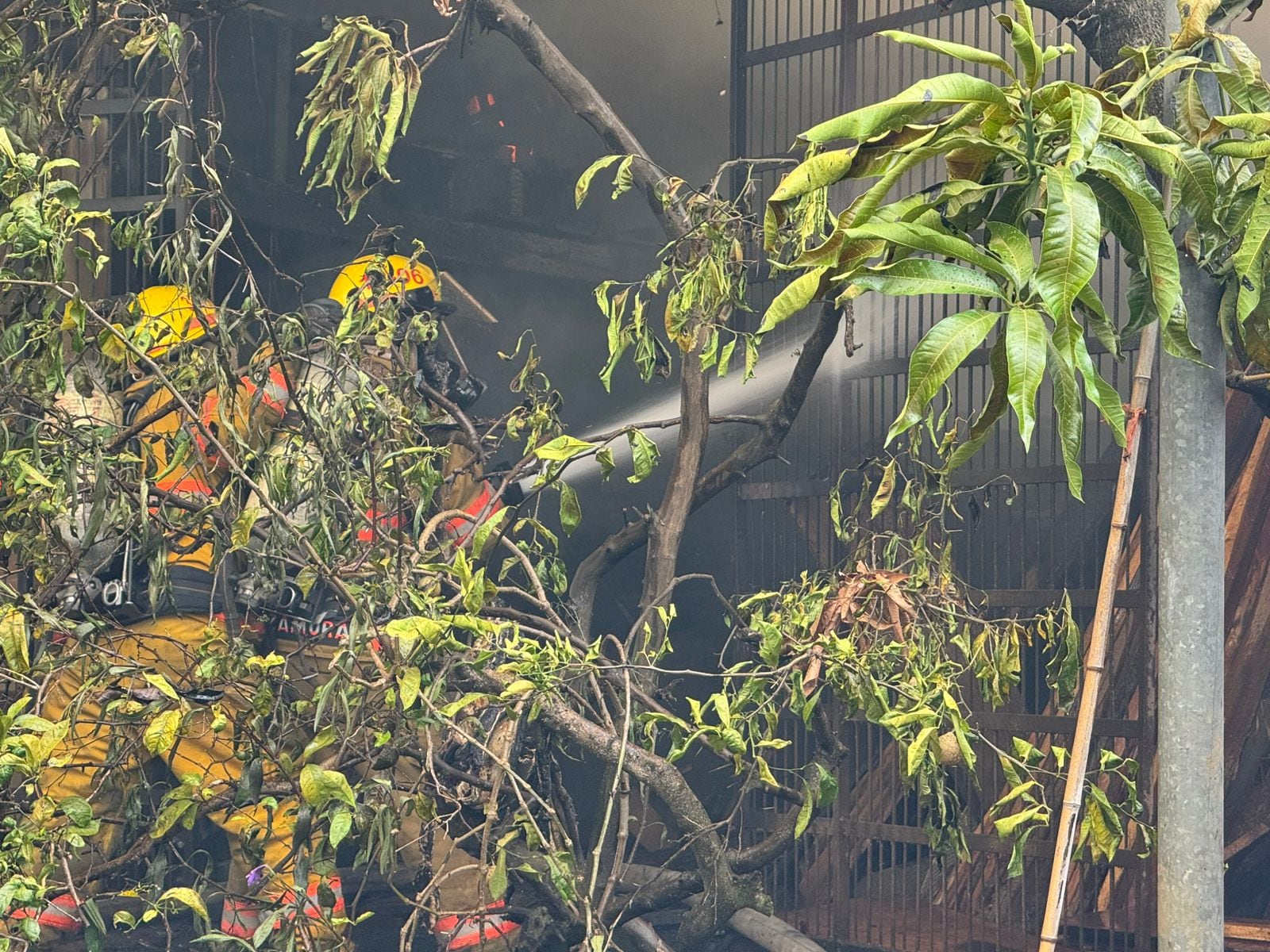 Incendio en Desamparados