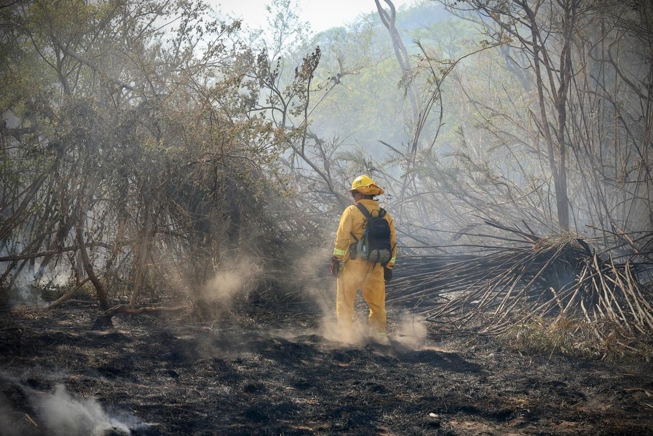 El incendio en Palo Verde tiene trabajando a más de 60 bomberos por día ya que el fuego está encerrado pero no controlado. Se quemó ya una extensión como de unas 56 parques La Sabana.