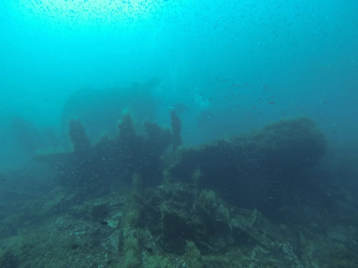 Naufragio del San Pablo en Pensacola, Florida. Aunque se le apodaba el "Carguero Ruso", este barco fue hundido frente a la costa de Pensacola por el gobierno estadounidense en una operación ultrasecreta.