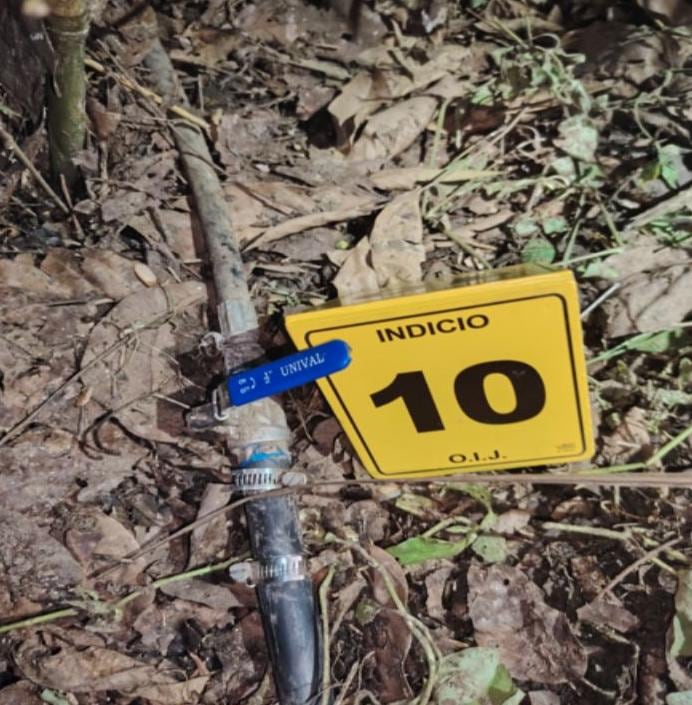 La intervención se logró gracias a una denuncia confidencial que alertó a la Policía Judicial.