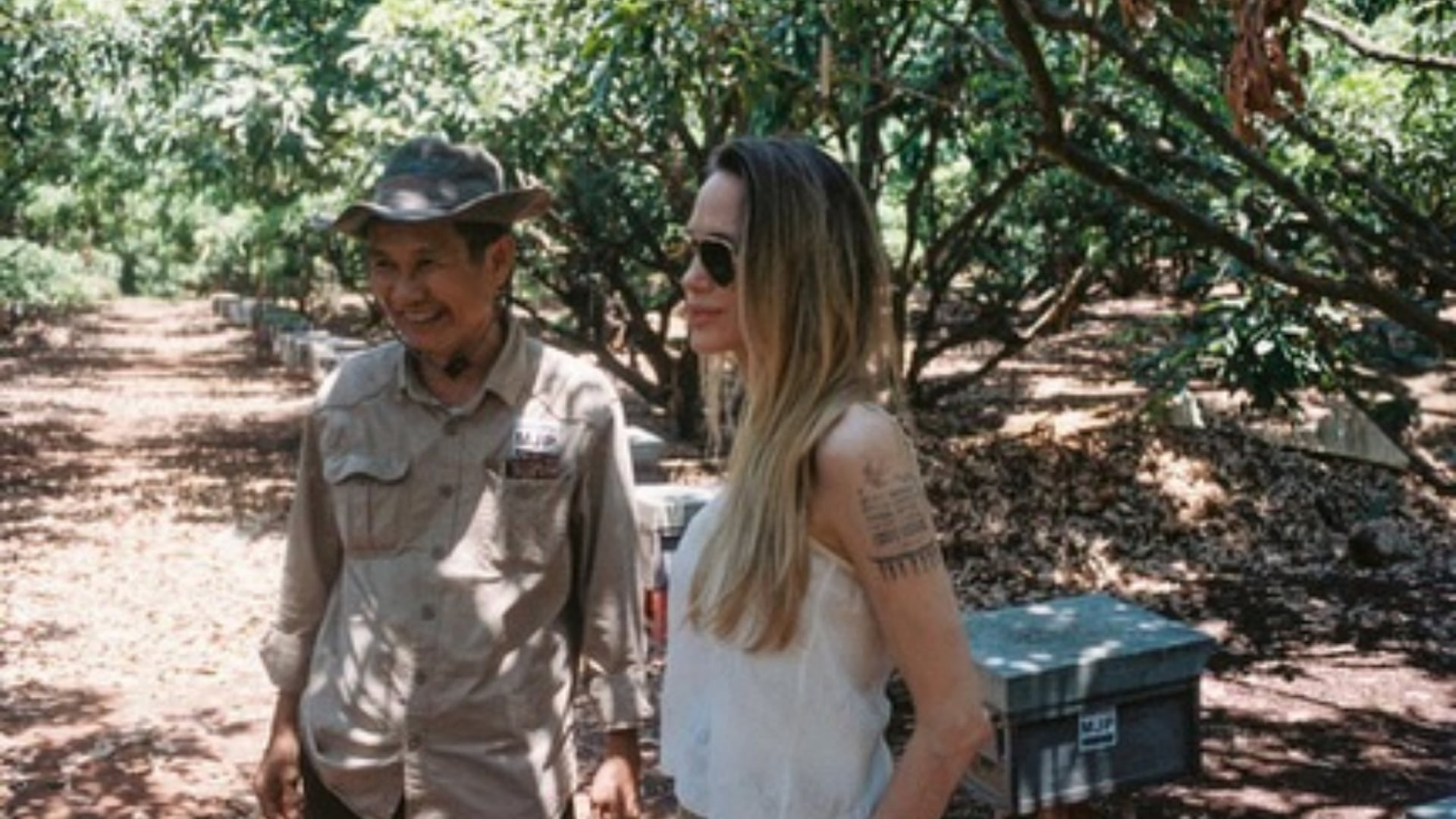 La fundación creada por Jolie protege una zona forestal en Camboya y emplea a pobladores locales en sus proyectos.