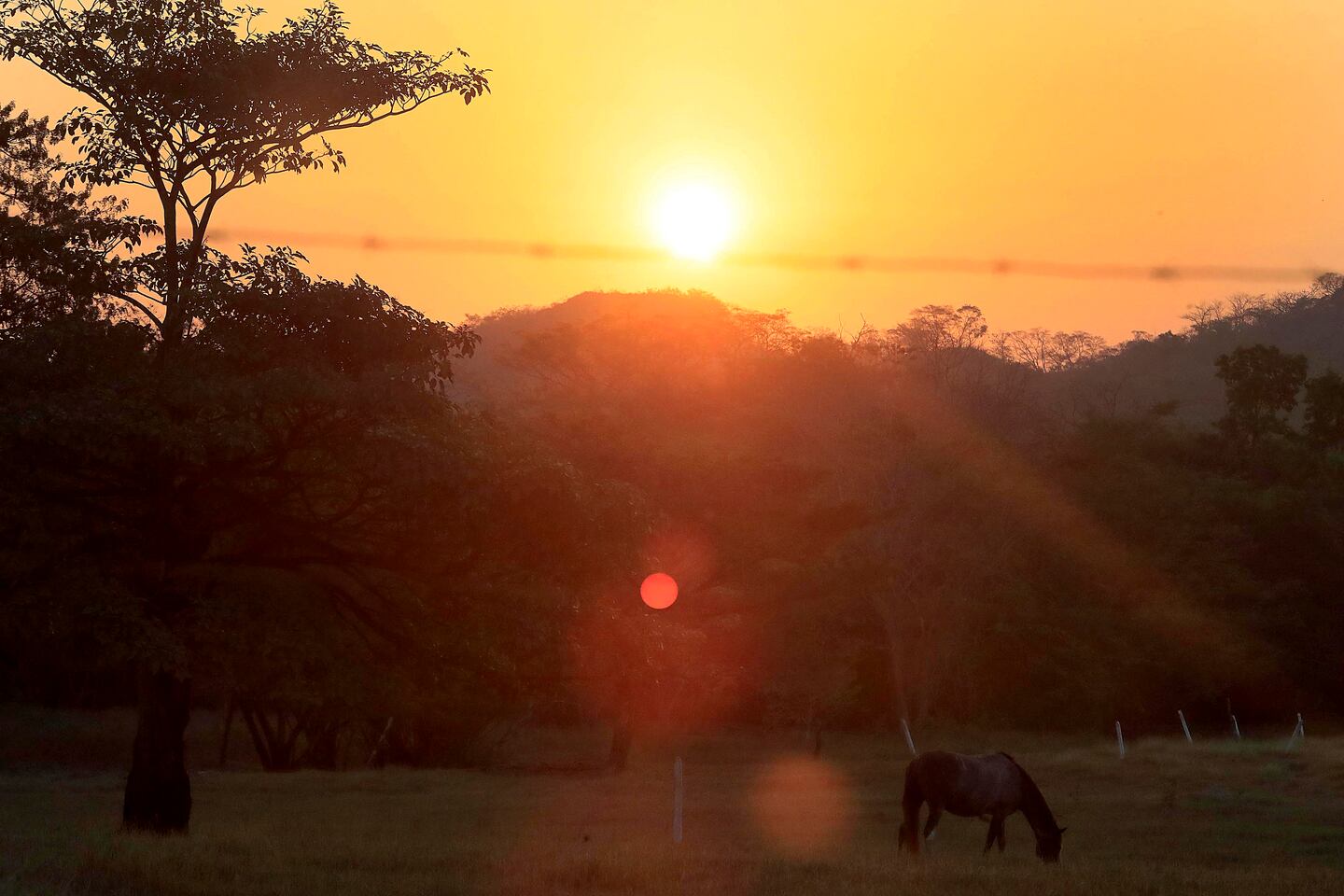 Calor intenso y ráfagas de viento impactarán Costa Rica este sábado 28 de marzo