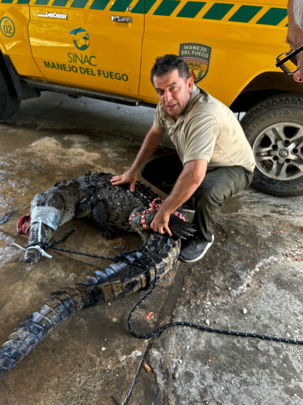Funcionarios y guardaparques ayudaron a la captura del animal.