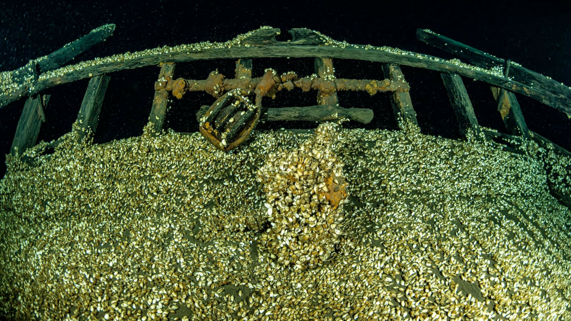 Buzos localizaron un barco del siglo XIX en el lago Ontario. Su estado intacto y su diseño antiguo sorprenden a los investigadores.