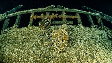 Naufragio del siglo XIX invadido por moluscos es descubierto en gran lago de Canadá