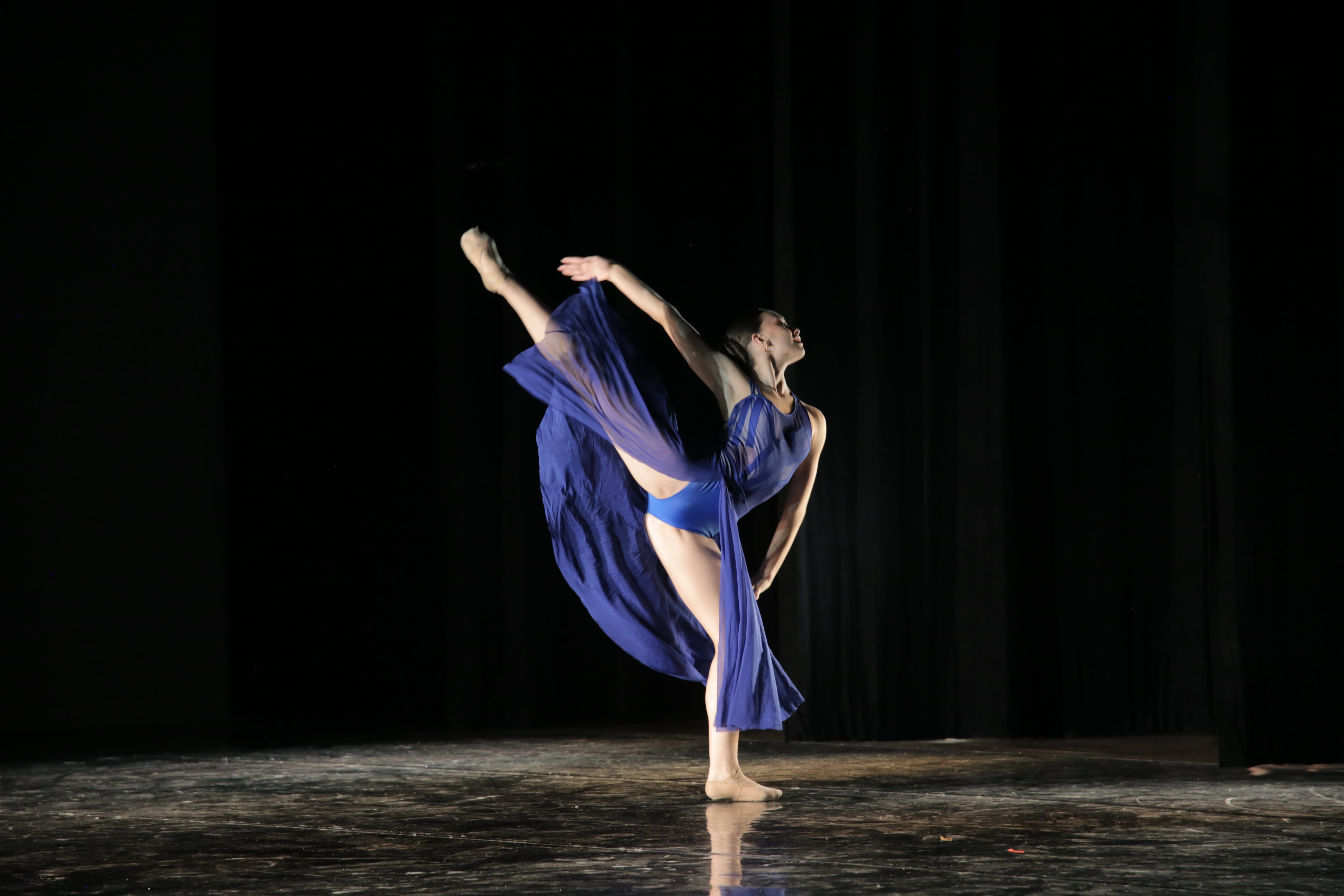 A lo largo de sus ediciones anteriores, el Festival Internacional de Ballet de San José ha logrado formar a 412 estudiantes en seminarios intensivos y ha atraído a más de 2.500 espectadores.