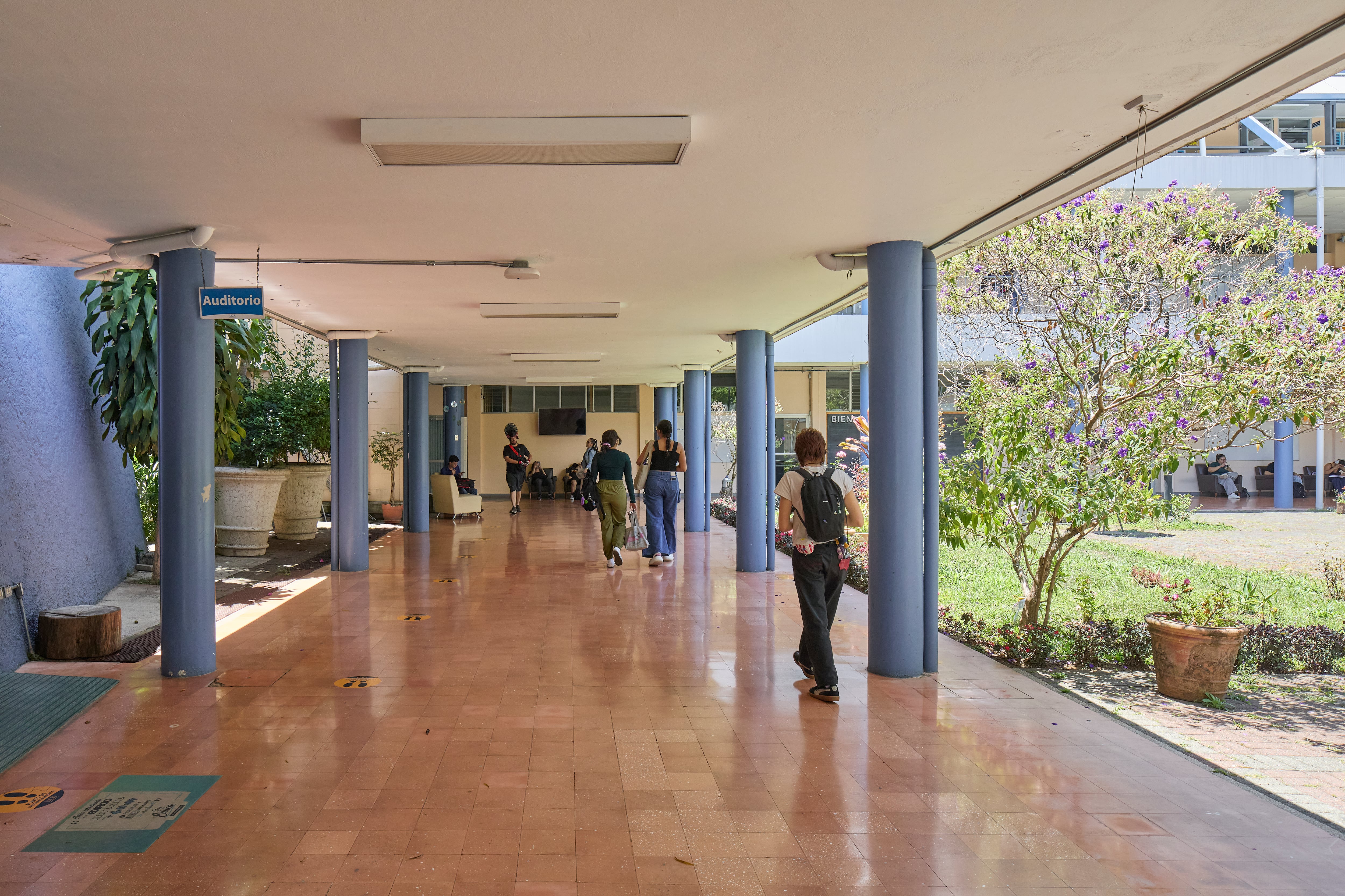 Facultad de Educación de la Universidad de Costa Rica, ubicada en la Finca 1, Ciudad Universitaria Rodrigo Facio.