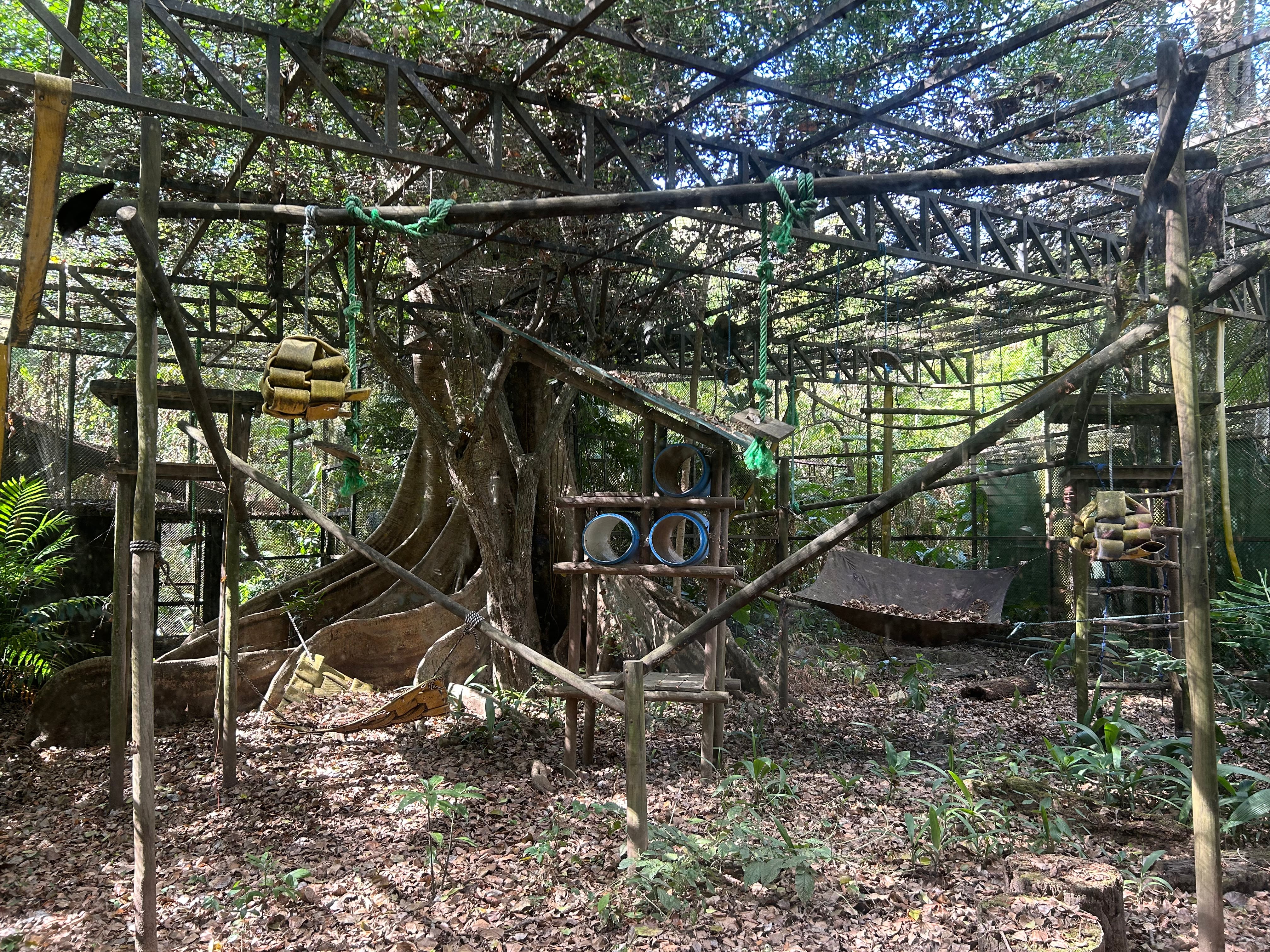 Simón Bolívar EXCLUSIVO VIVA