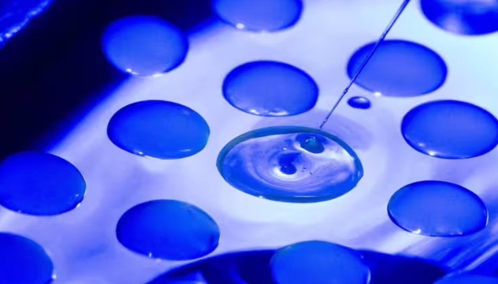 Un experimento con células bacterianas bajo el microscopio. - JENS MEYER (UNIVERSIDAD DE JENA)