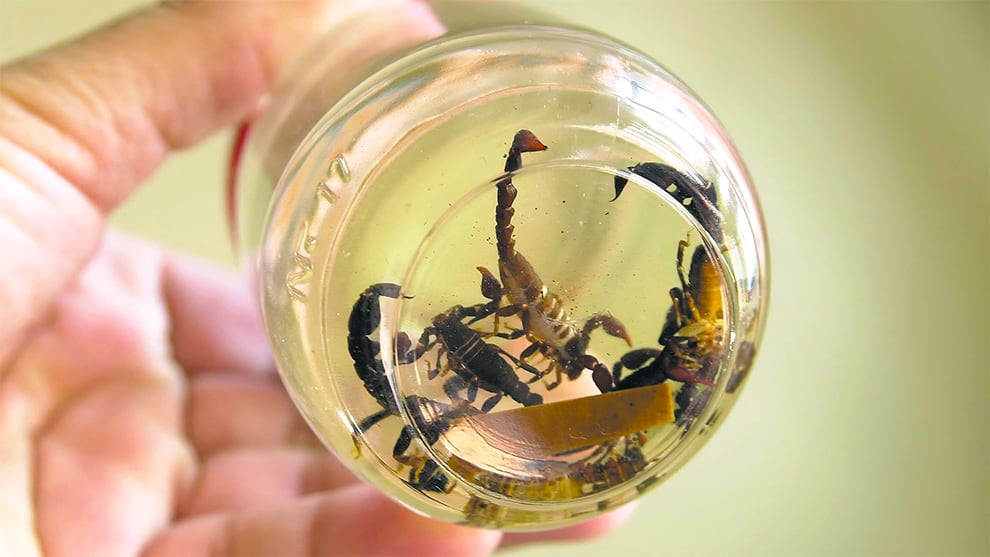 Tres antibióticos experimentales atacan bacterias asociadas a tuberculosis e infecciones hospitalarias.