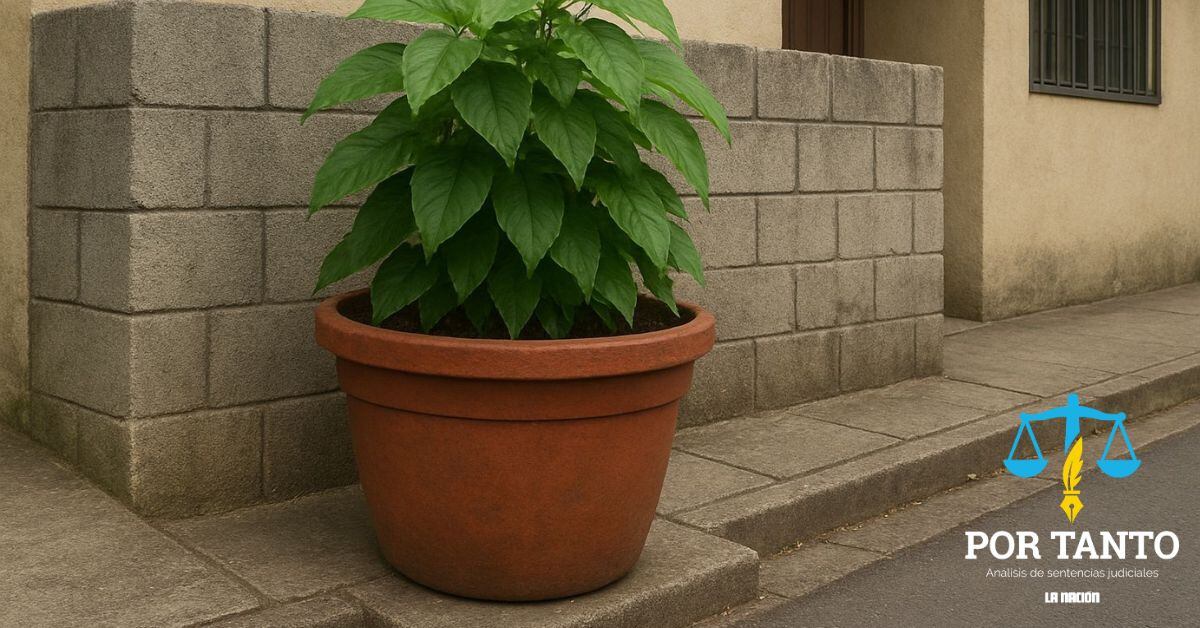 En la imagen una vivienda con un muro y maceta al frente; generados con inteligencia artificial